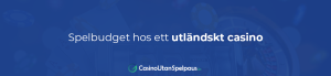 Spelbudget hos ett utländskt casino